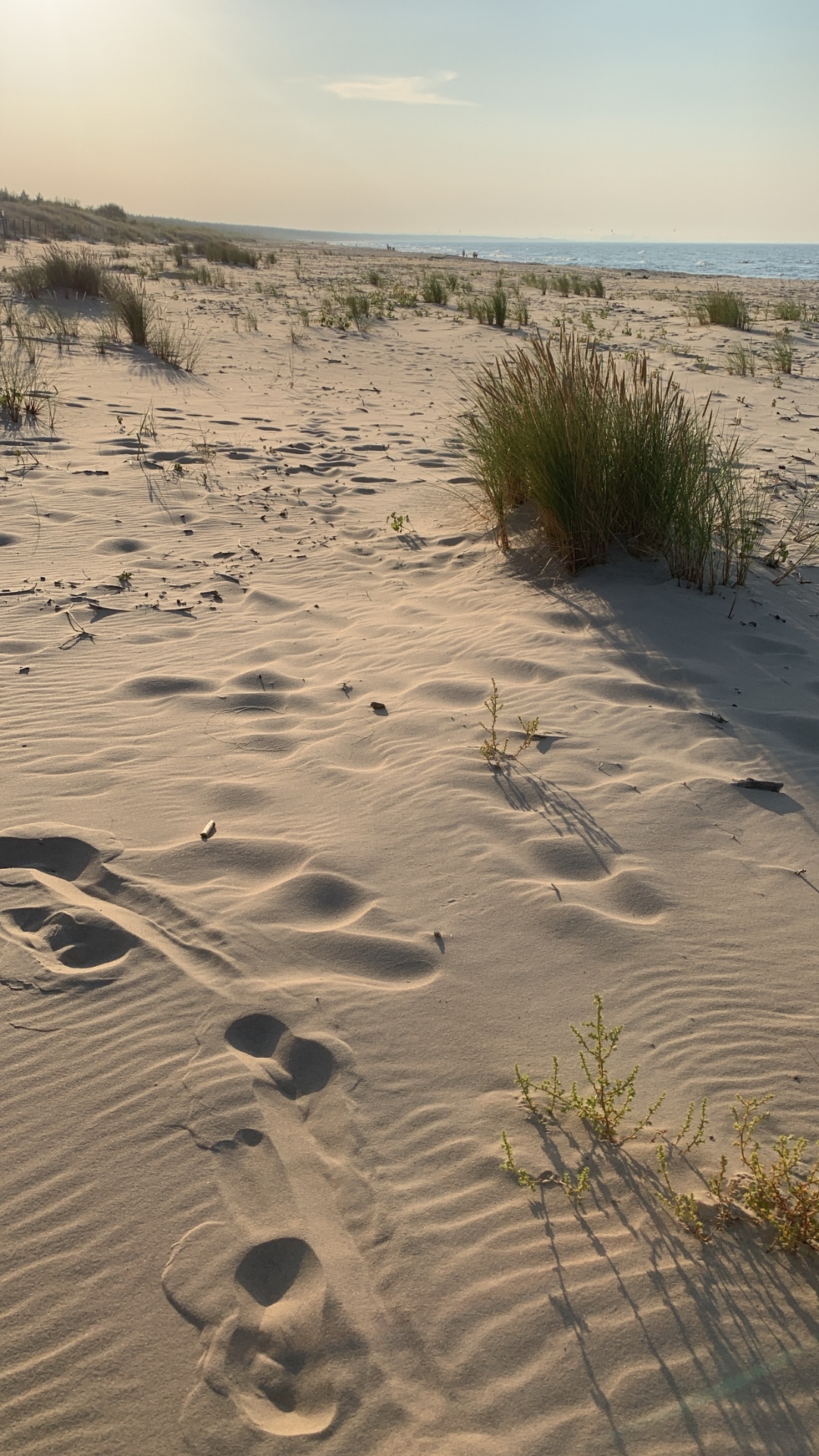 Ślady stóp na piaszczystej plaży o zachodzie słońca
